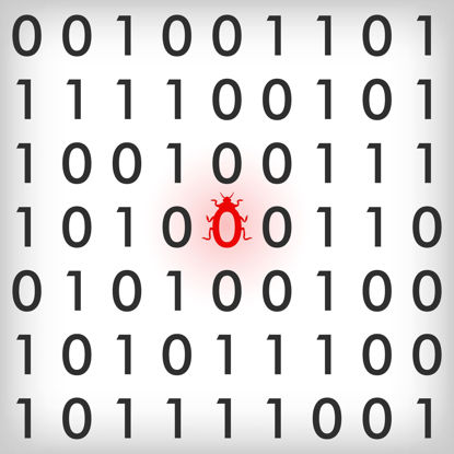 representation of a bug in binary code