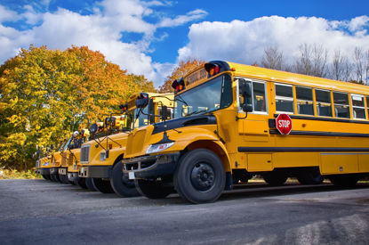 row of school buses